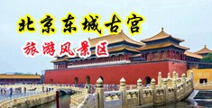 抽插小穴骚逼痉挛喷水视频中国北京-东城古宫旅游风景区